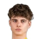 Rendijs Mihelsons