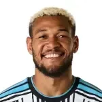 Joelinton